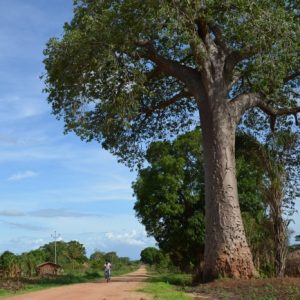 La misión compartida en Angola se hace realidad La misión compartida en Angola se hace realidad